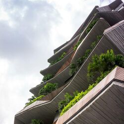 The Oliv (D10), Apartment #542755191